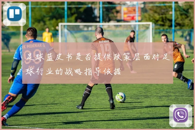 足球蓝皮书是否提供政策层面对足球行业的战略指导依据